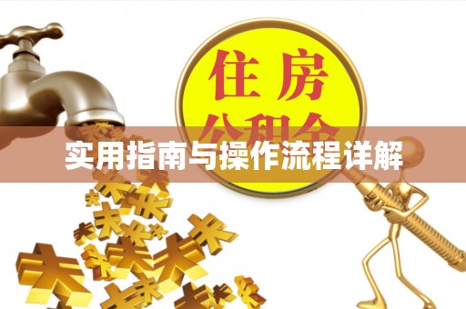 东凤实用指南与操作流程详解